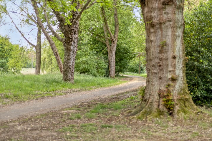 Foto 33 van Philip van Almondestraat 9