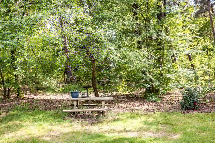 Foto 30 van Wildweg 69