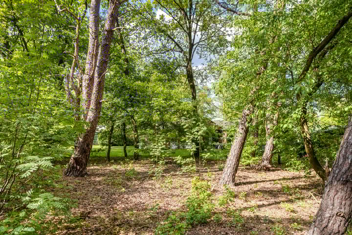 Foto 32 van Wildweg 69