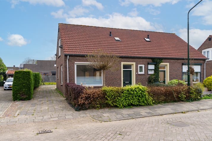 undefined main image