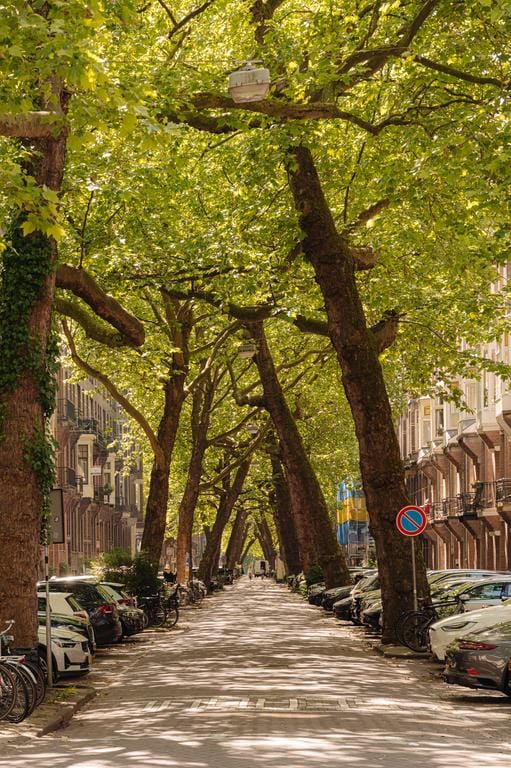 Foto 19 van Okeghemstraat 9-3