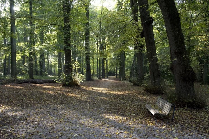 Foto 55 van Schouwtjeslaan 27