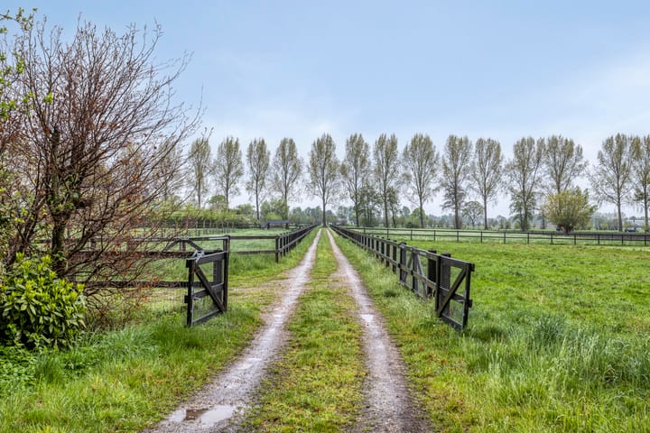 Foto 4 van Maanderdijk 32