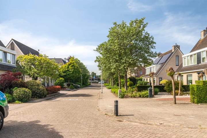 Foto 3 van Boezemvliet 7