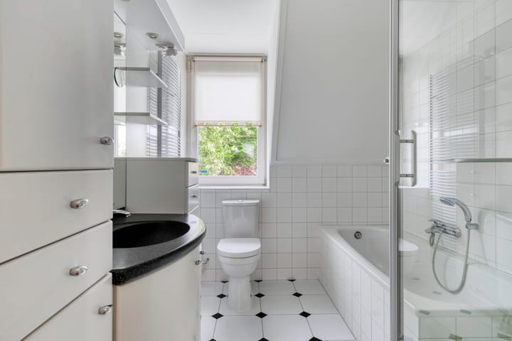 Foto 26 van Boezemvliet 7