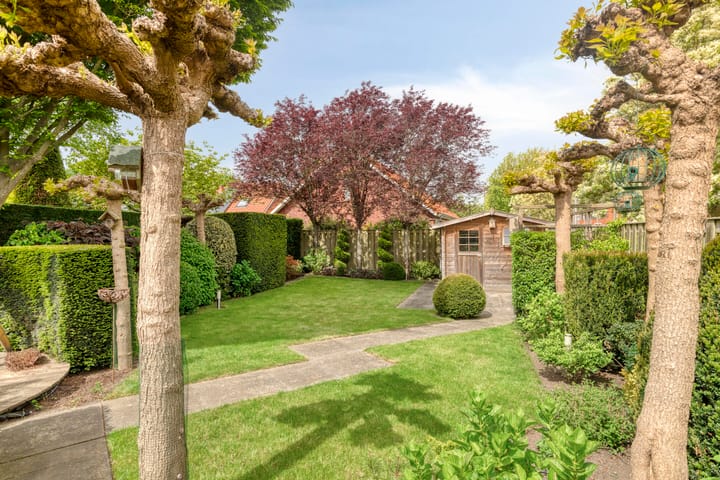 Foto 35 van Boezemvliet 7