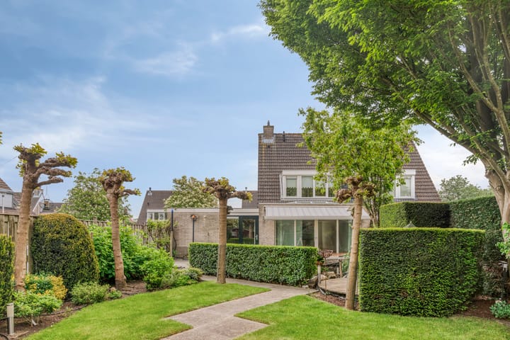 Foto 36 van Boezemvliet 7