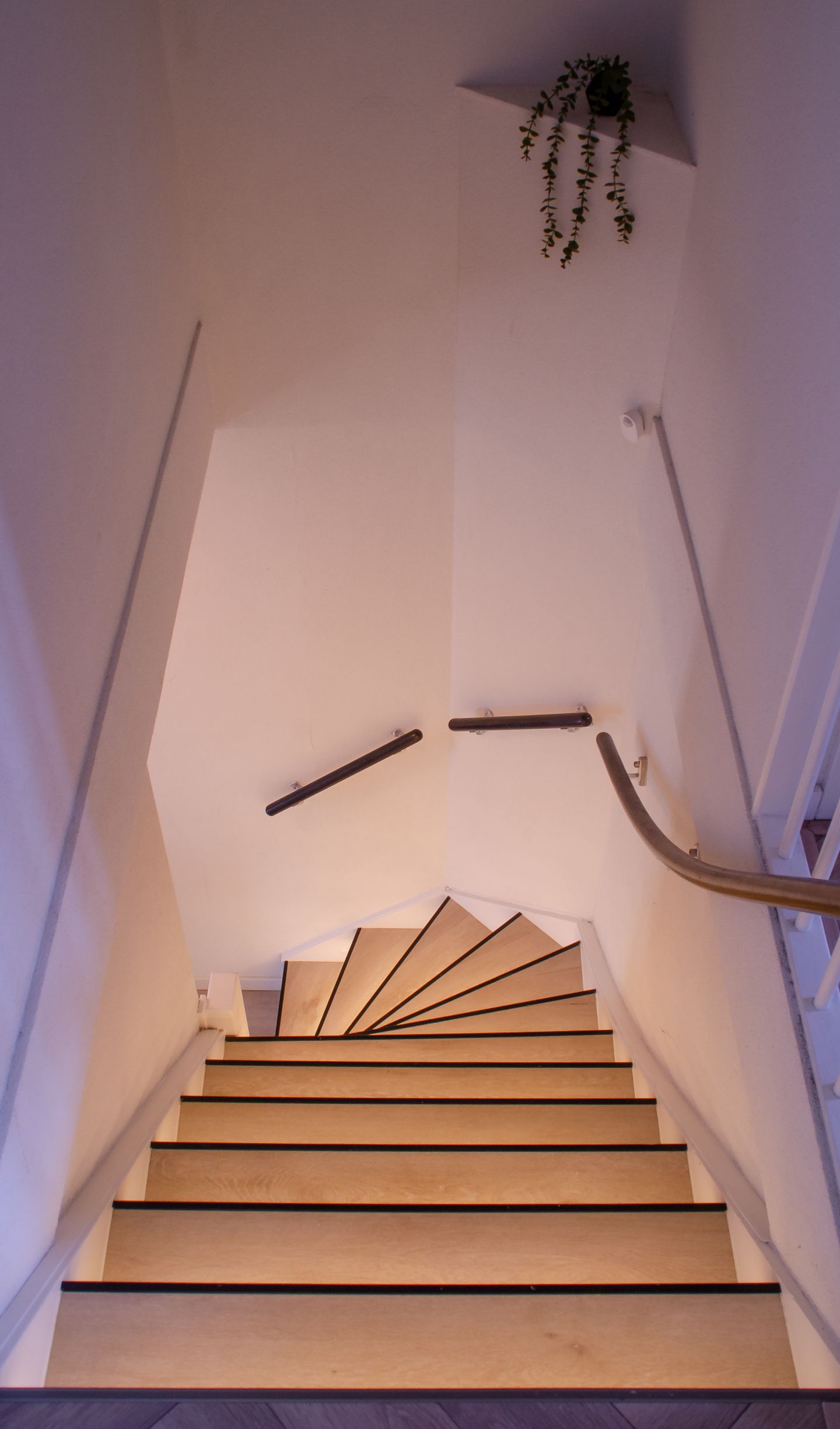 Foto 29 van Schildgronden 37