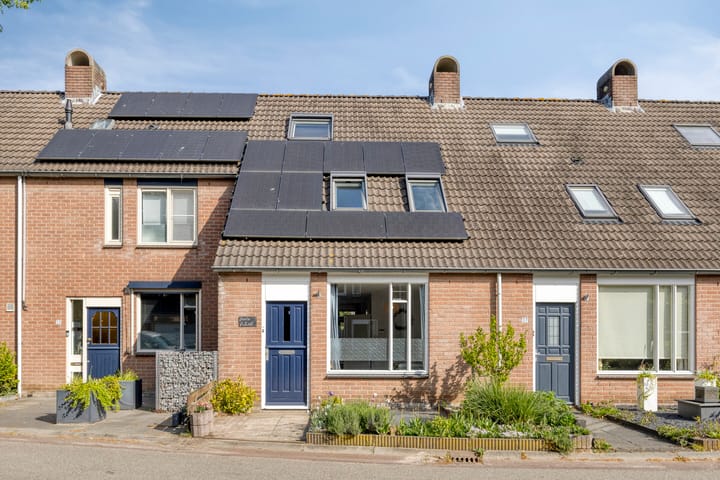 Foto 1 van Koperwiek 35