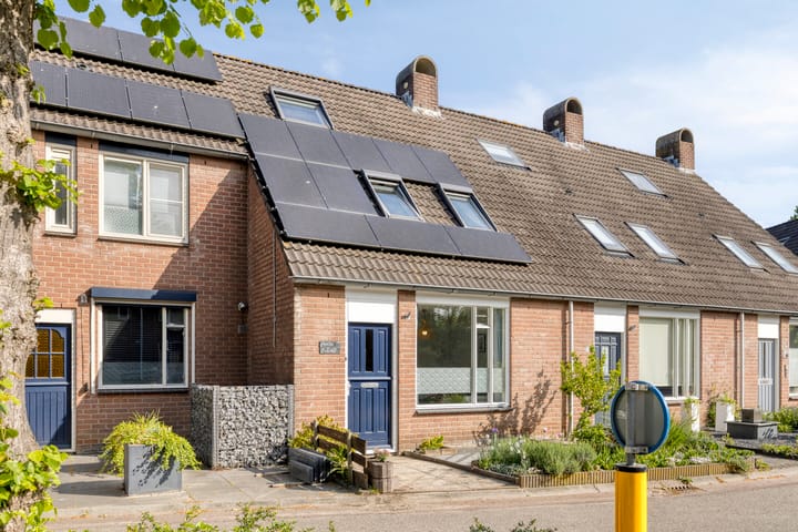 Foto 3 van Koperwiek 35