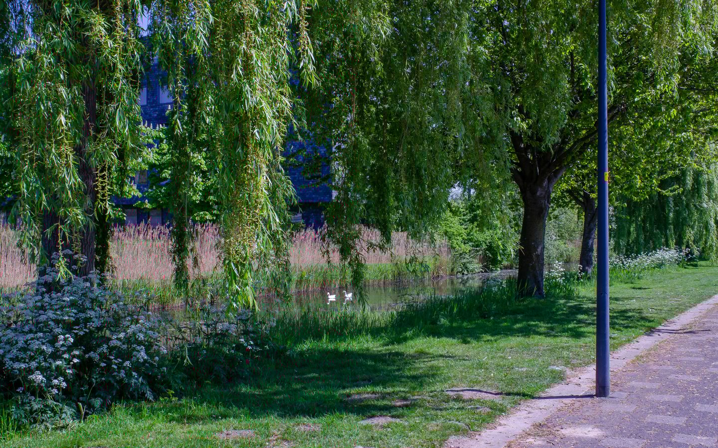 Foto 35 van Schildgronden 37