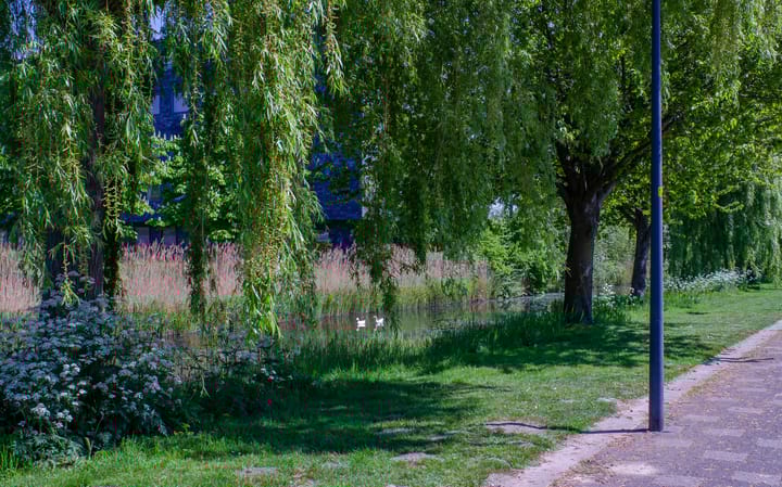 Foto 35 van Schildgronden 37