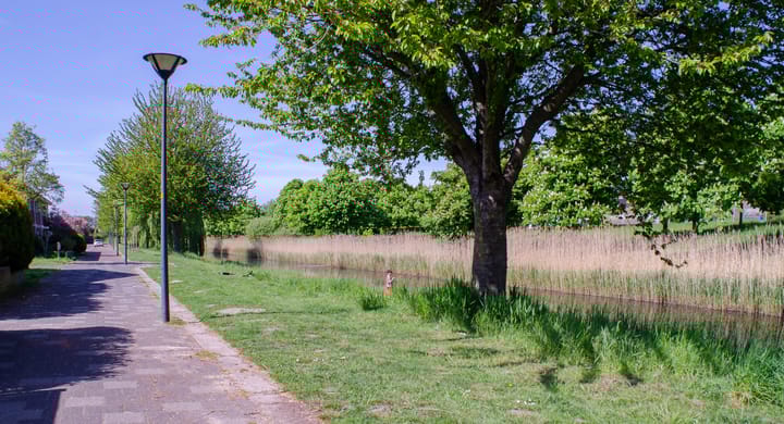 Foto 36 van Schildgronden 37