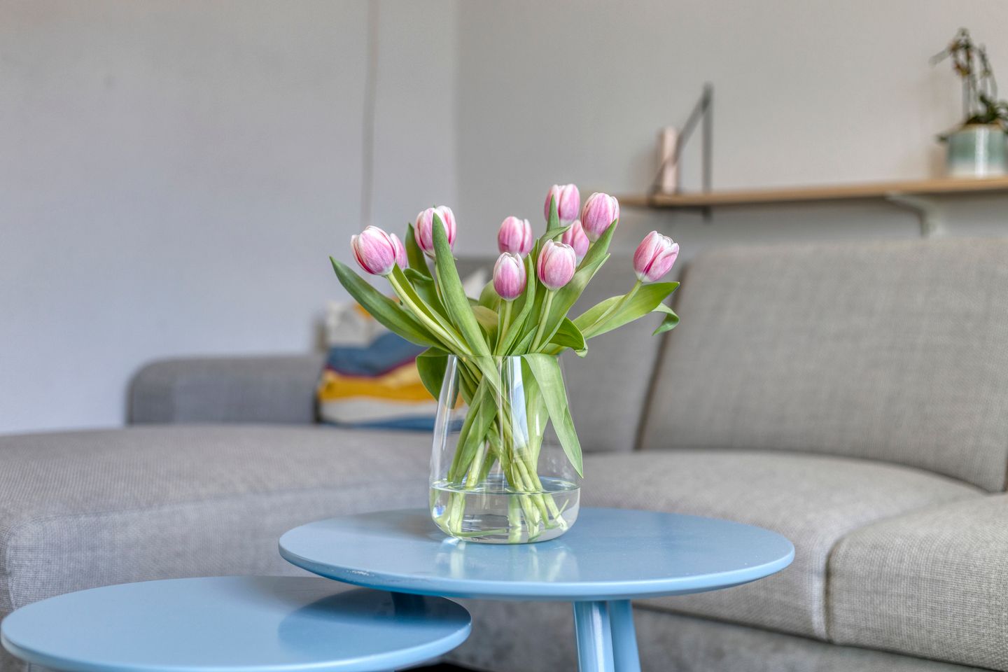 Foto 10 van Koperwiek 35