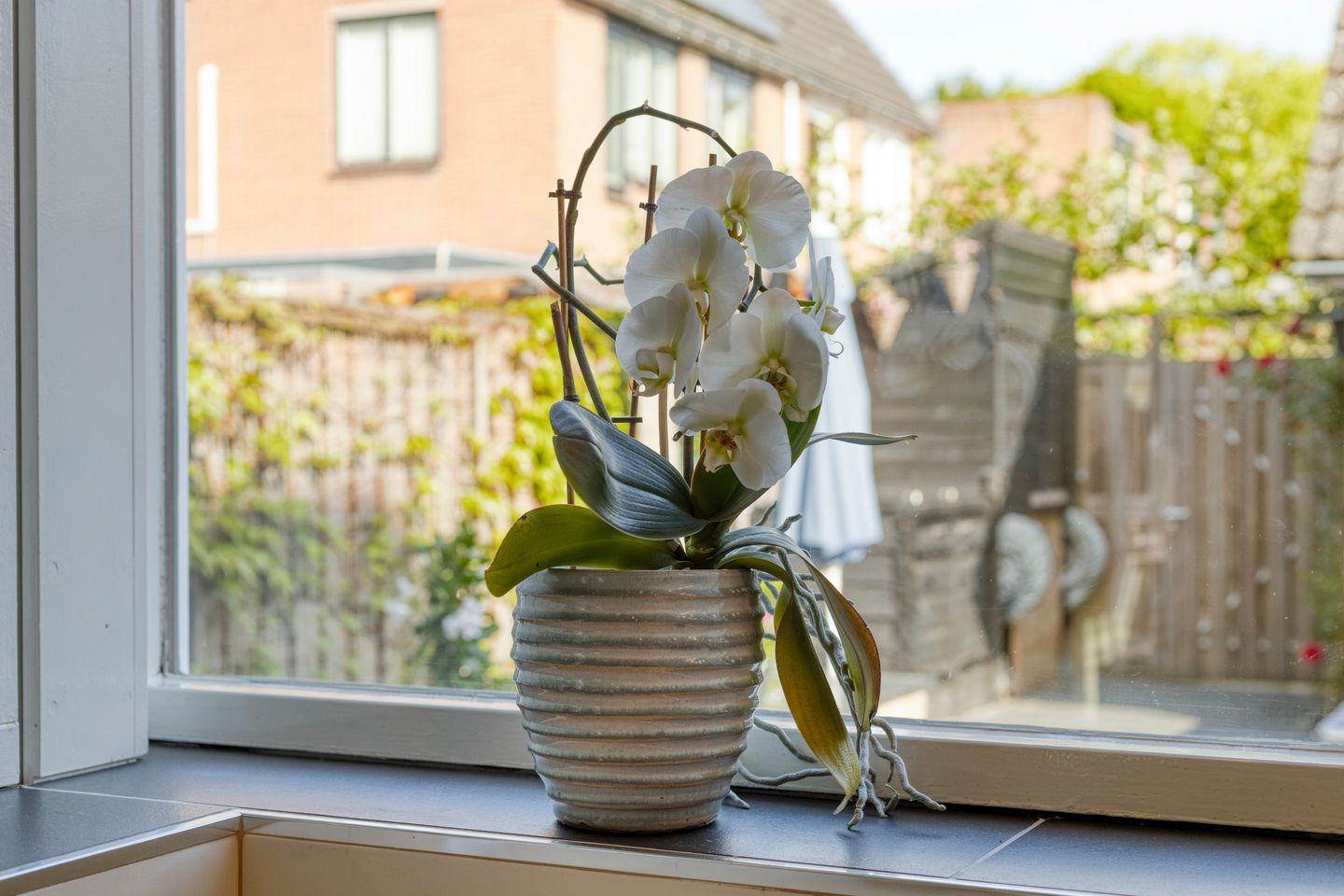 Foto 19 van Koperwiek 35