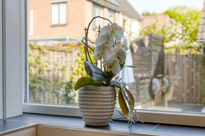 Foto 19 van Koperwiek 35