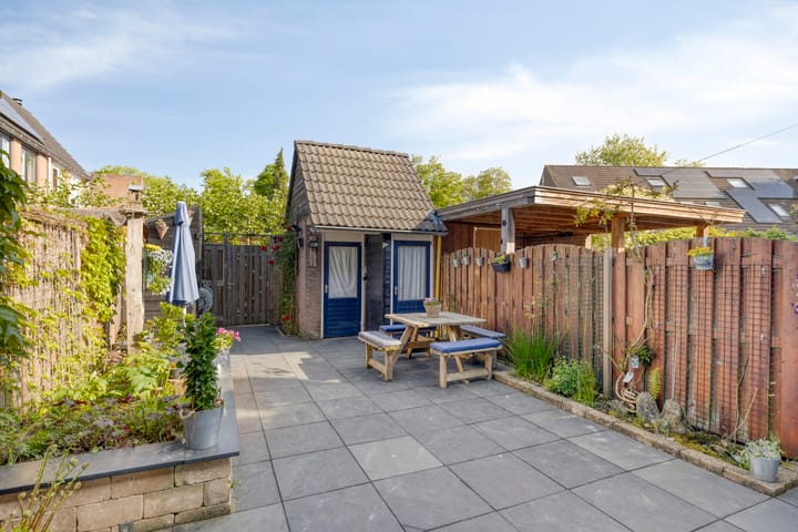 Foto 35 van Koperwiek 35