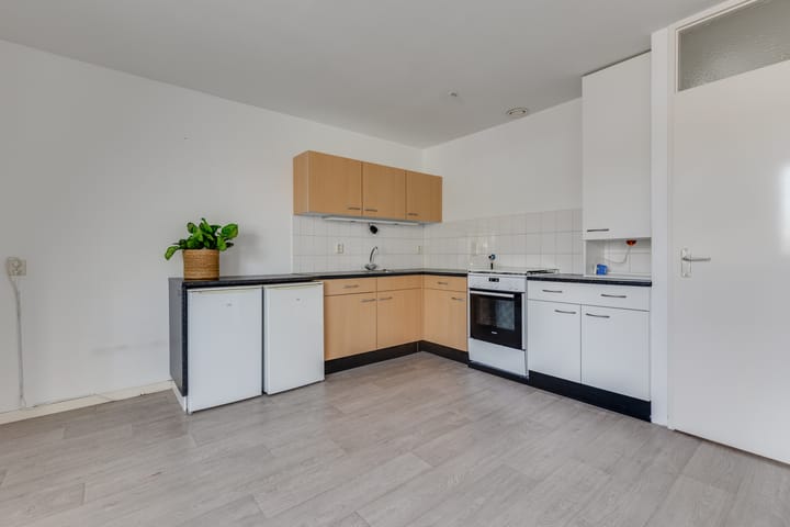 Foto 12 van De Batavier 46