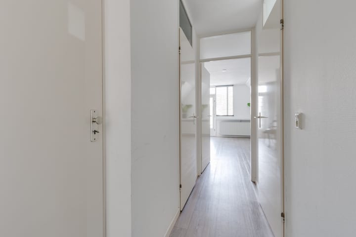 Foto 15 van De Batavier 46