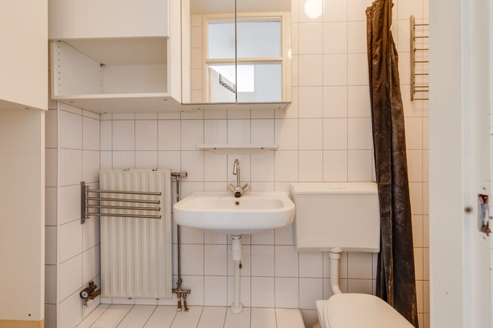 Foto 18 van De Batavier 46