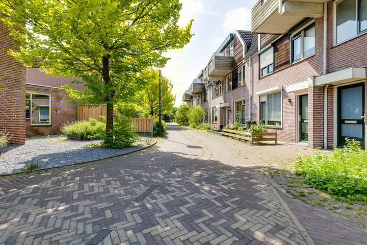 Foto 26 van De Batavier 46