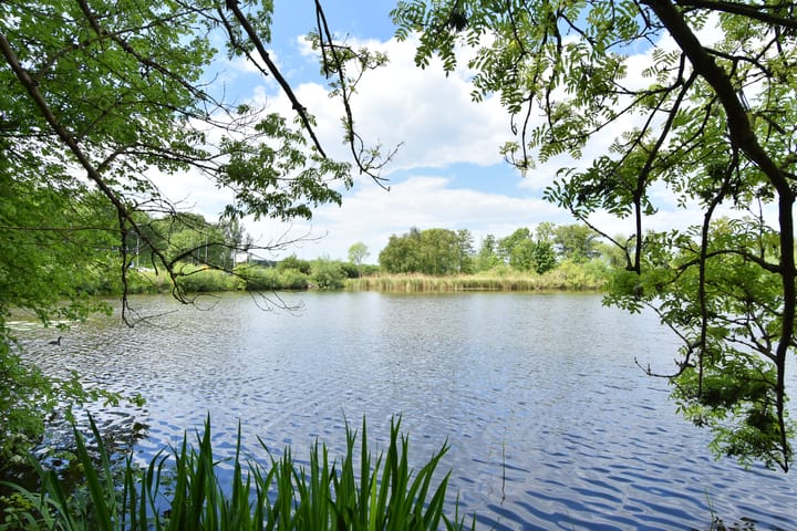 Photo 26 of Sidelingeplein 158