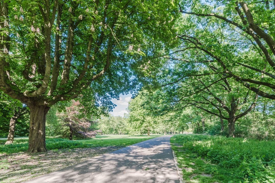 Foto 37 van Groenstraat 11