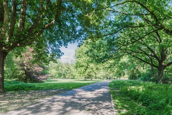 Foto 38 van Groenstraat 11