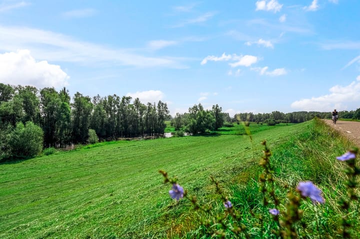 Foto 55 van Margrietstraat 10