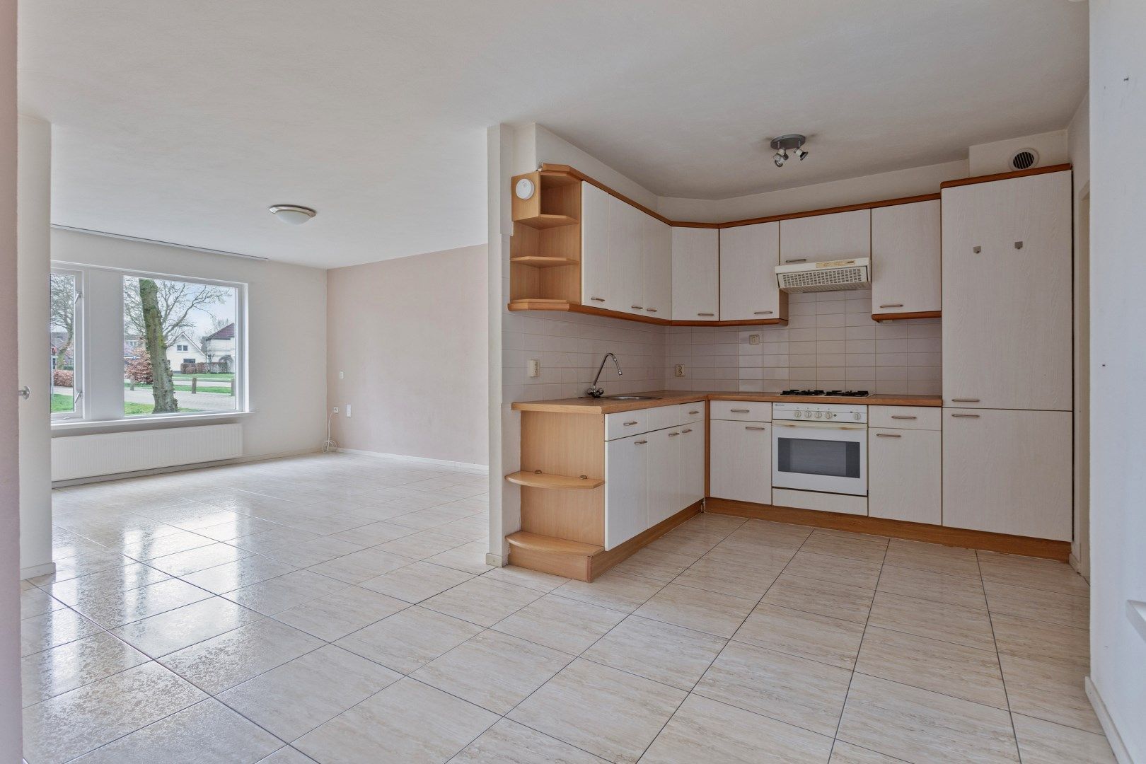 Foto 3 van Kleefkruid 6