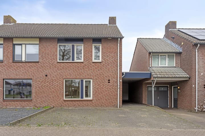 Foto 6 van Kleefkruid 6