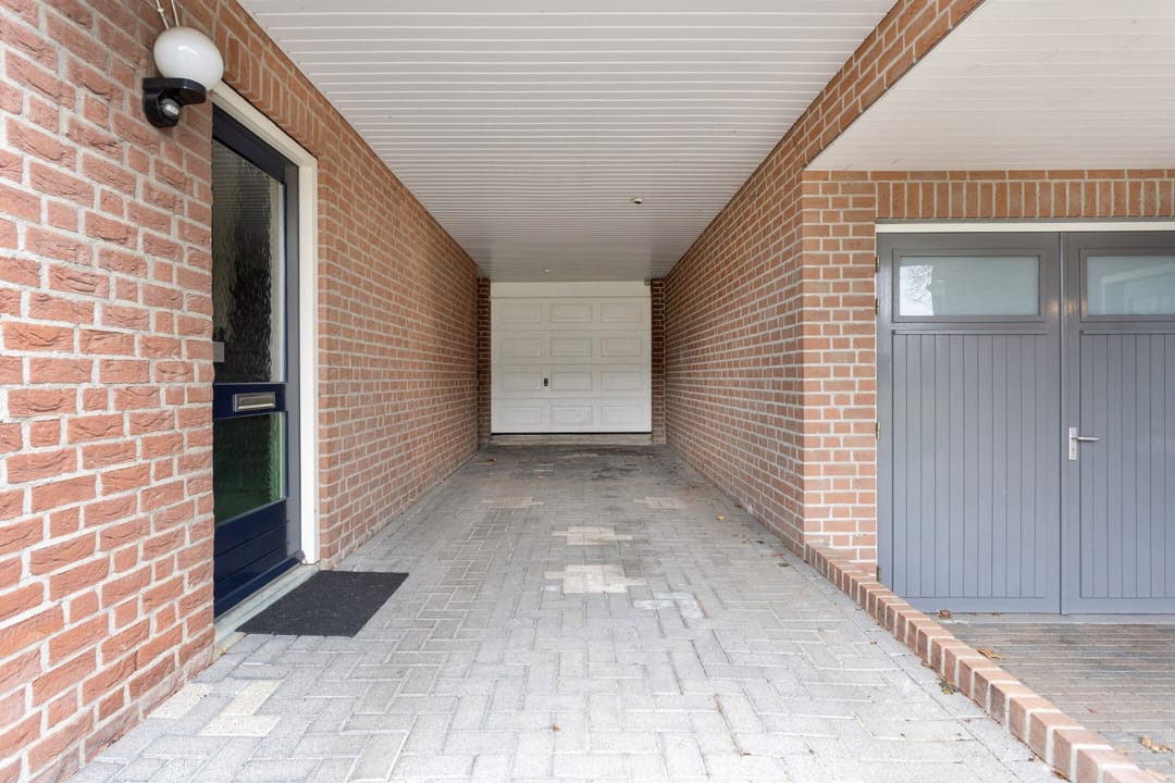 Foto 7 van Kleefkruid 6