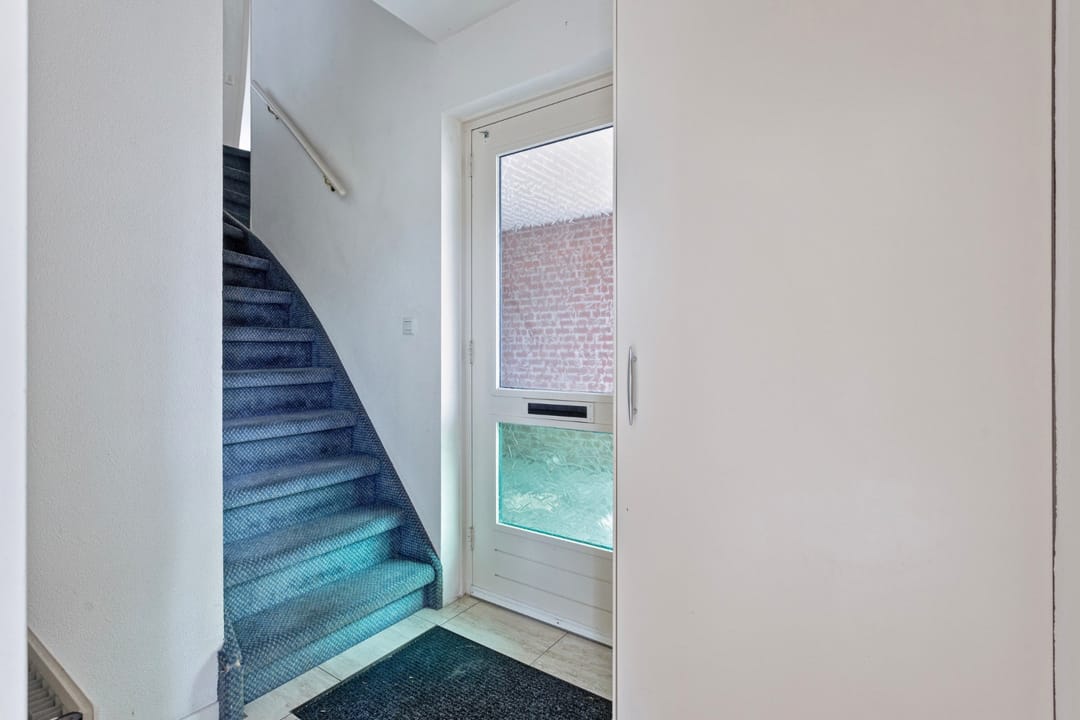 Foto 8 van Kleefkruid 6