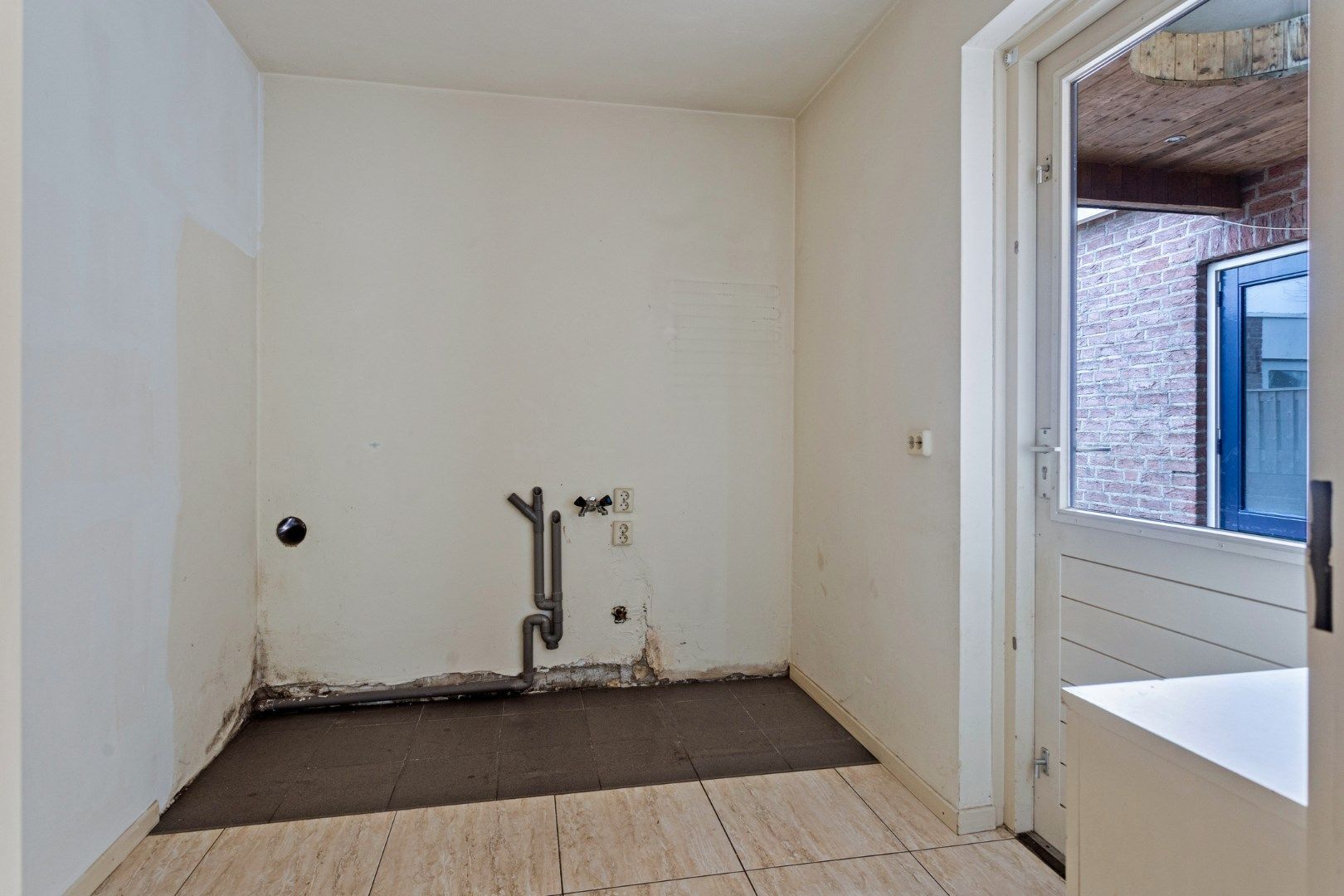 Foto 15 van Kleefkruid 6