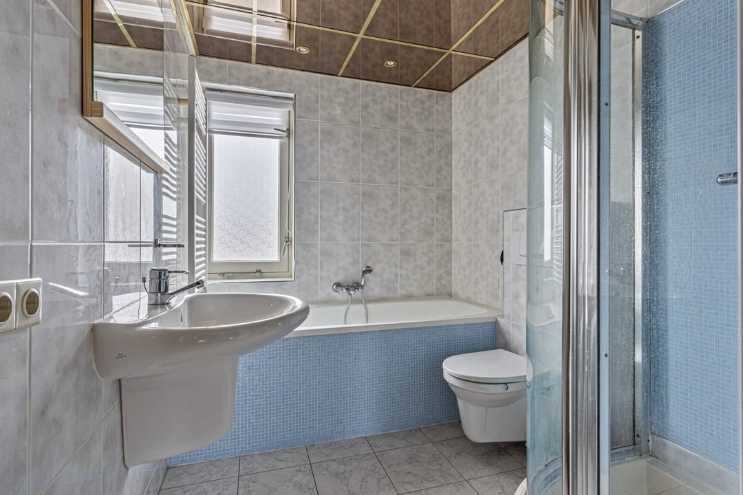 Foto 16 van Kleefkruid 6