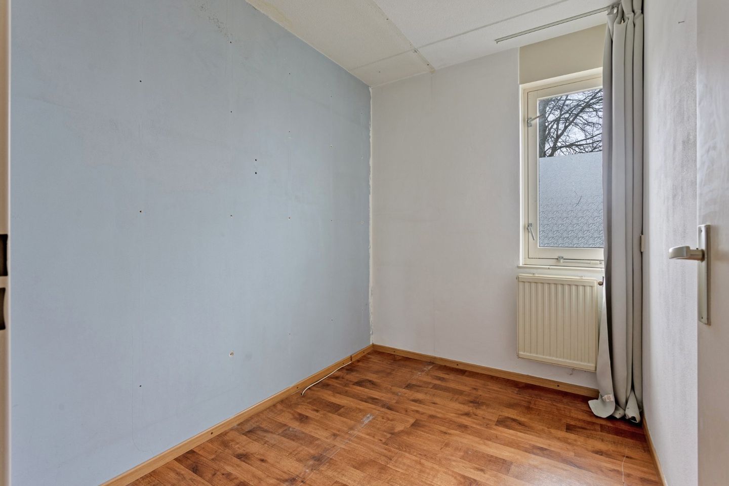 Foto 19 van Kleefkruid 6