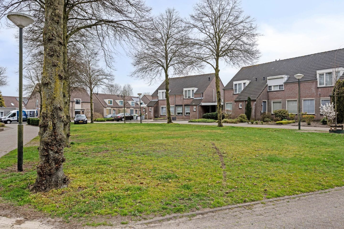 Foto 25 van Kleefkruid 6