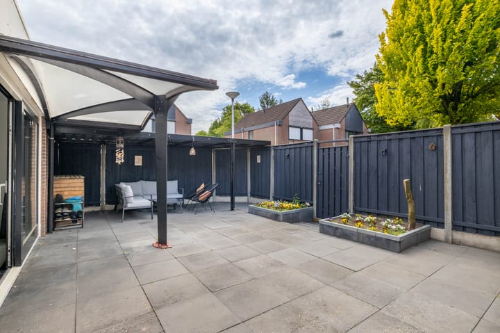 Photo 22 of De Buizerd 85