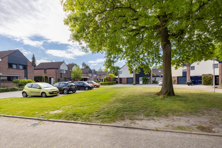 Photo 26 of De Buizerd 85