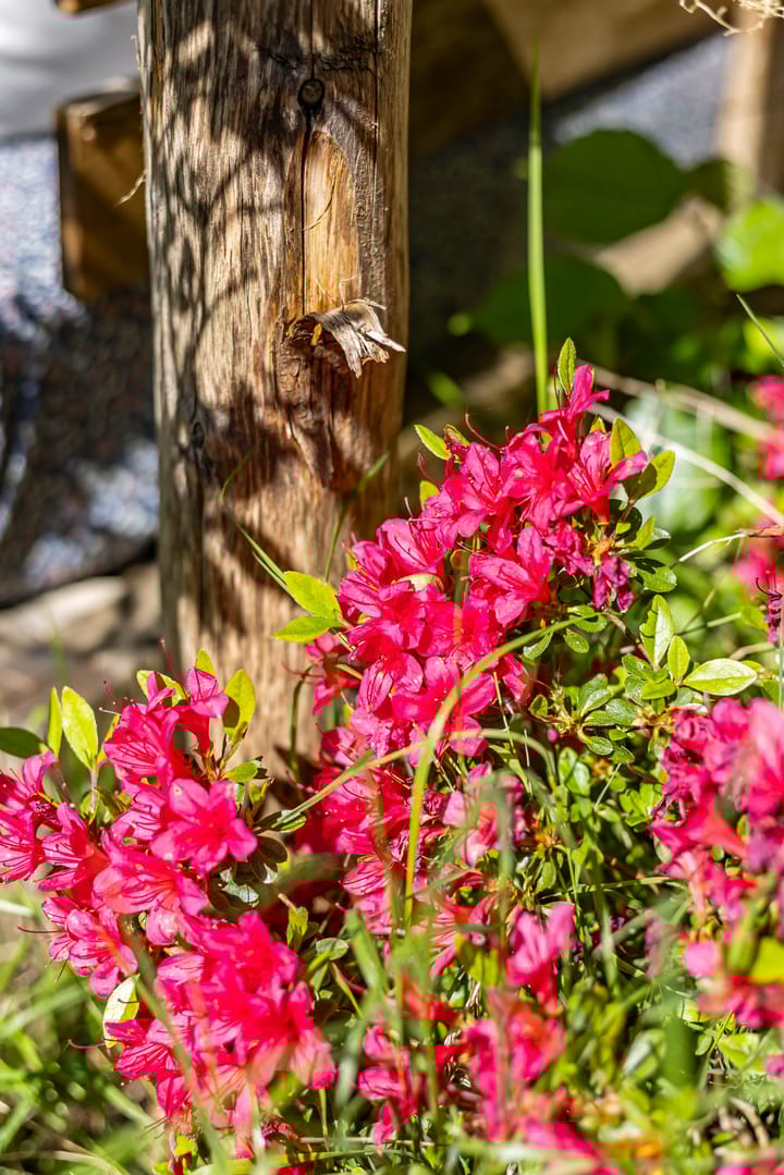 Foto 43 van Kerklaan 101