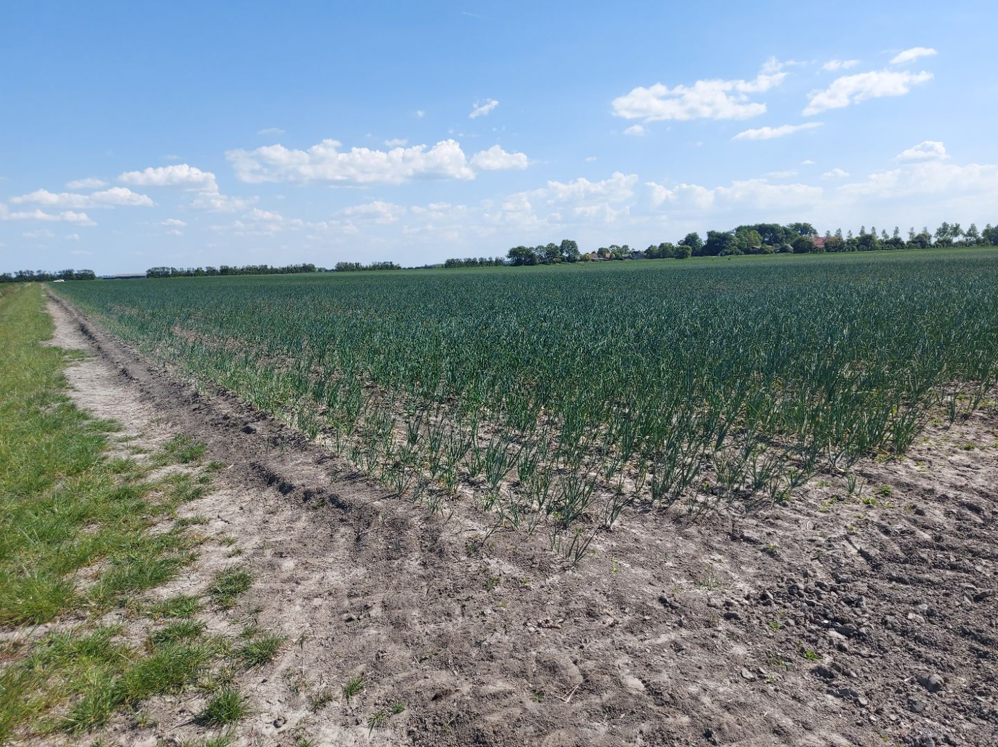 View photo 5 of aan de Hoogenboomsweg
