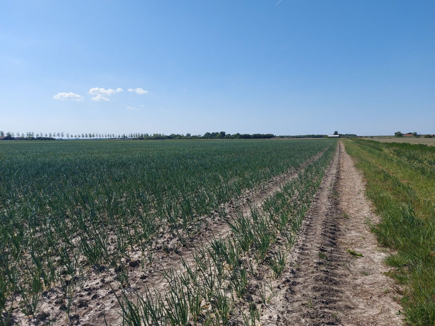 View photo 4 of aan de Hoogenboomsweg