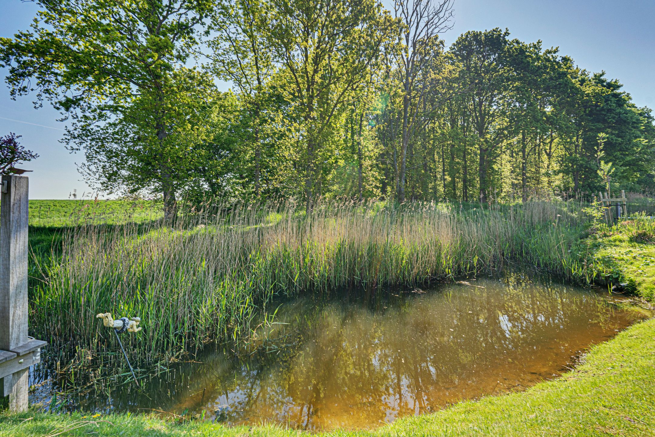 Photo 54 of Ruisweg 89