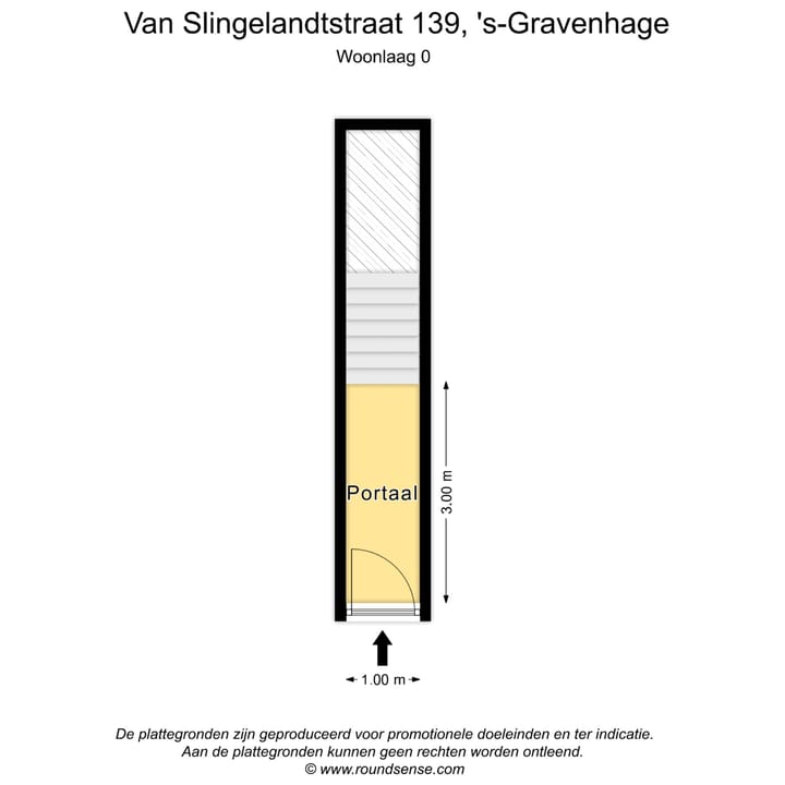 Foto 36 van Van Slingelandtstraat 139