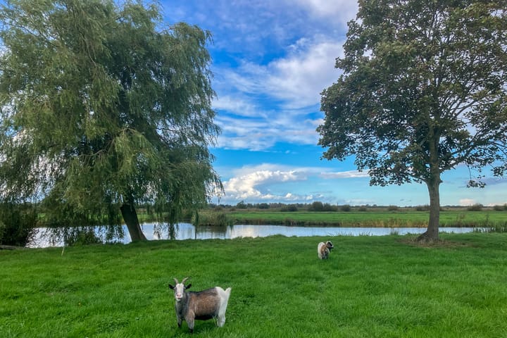 Foto 5 van Ter Aase Zuwe