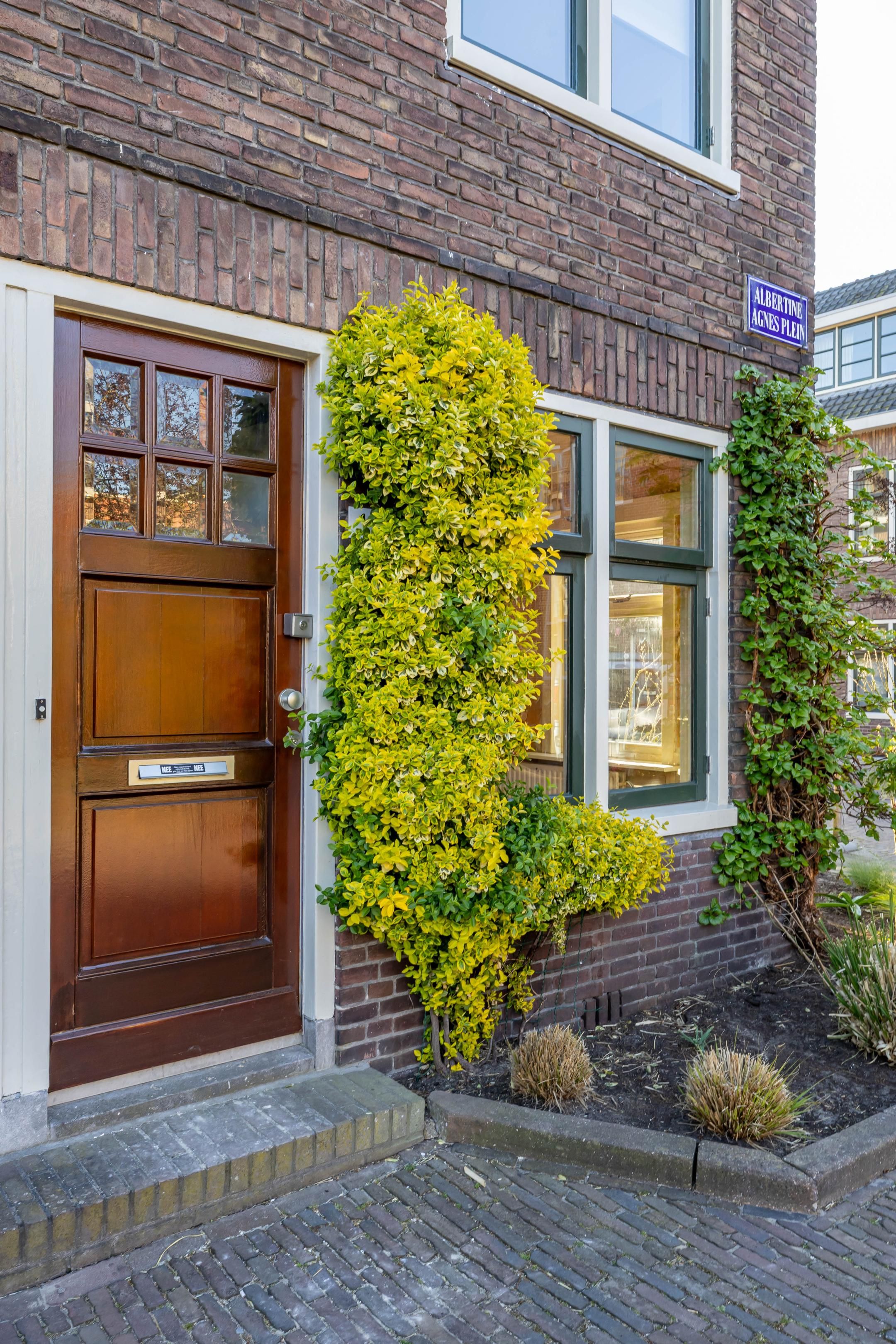 Photo 12 of Albertine Agnesplein 1