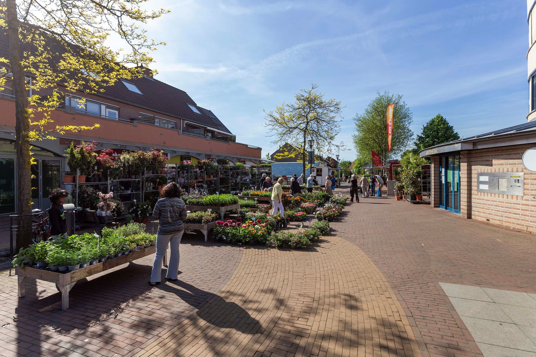 Foto 39 van Dreiumme 30