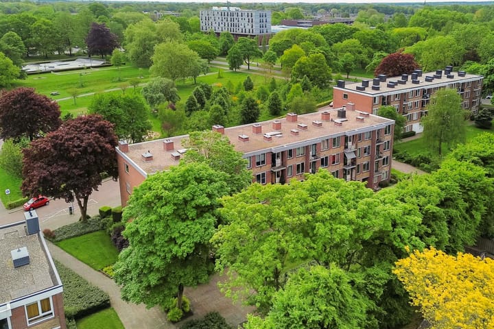 Foto 5 van Albardastraat 136