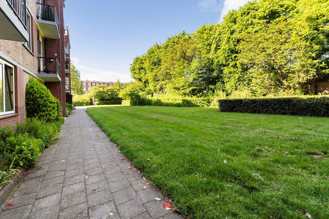 Foto 8 van Albardastraat 136