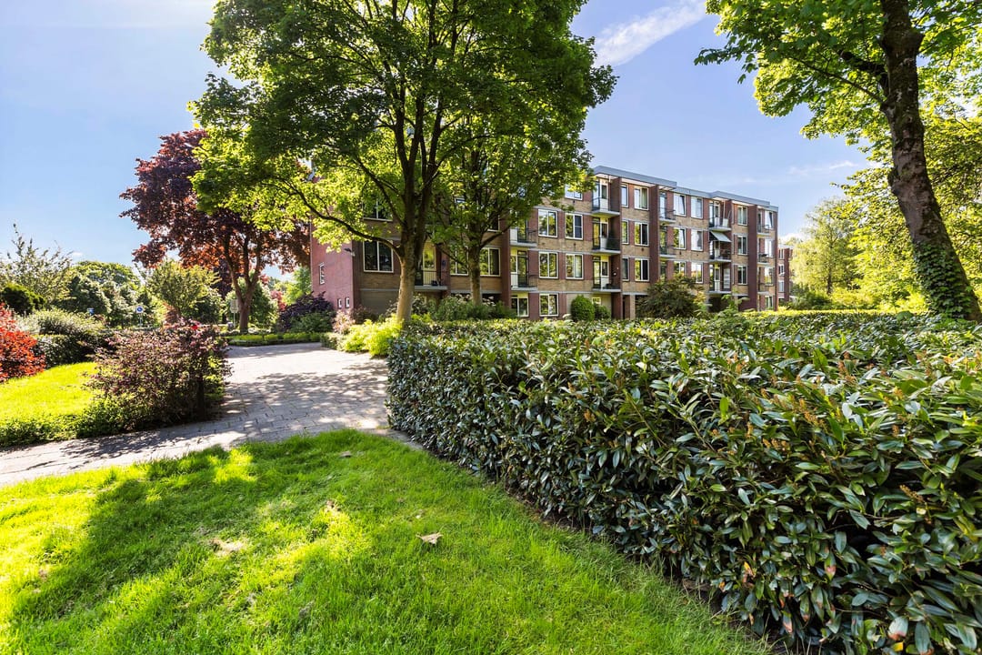 Foto 38 van Albardastraat 136